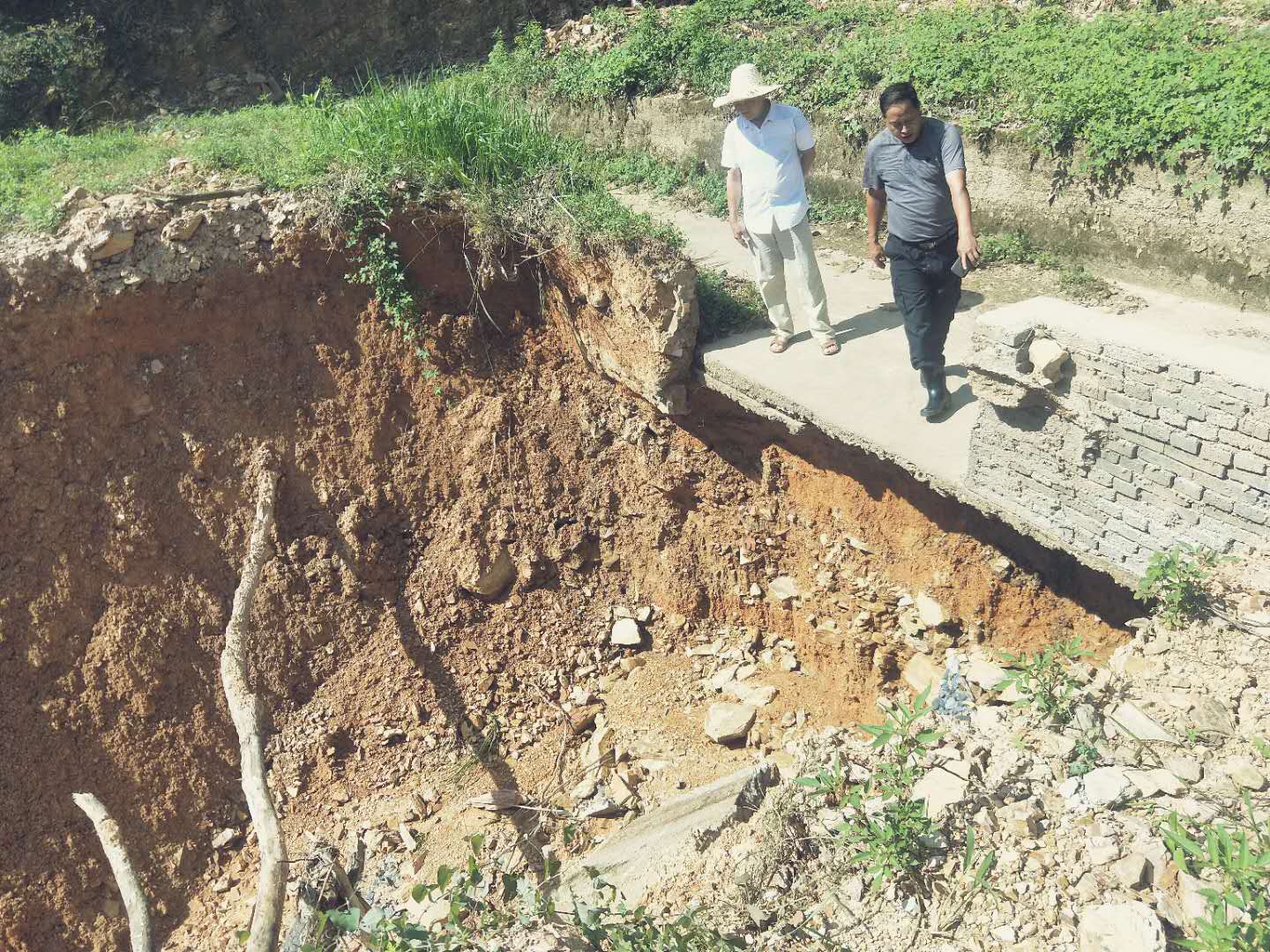 蒙山镇：多措并举做好抗旱工作